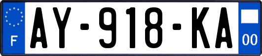 AY-918-KA