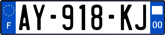 AY-918-KJ
