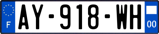 AY-918-WH