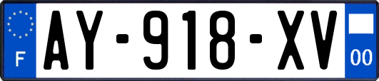 AY-918-XV