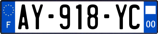 AY-918-YC