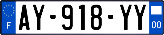 AY-918-YY