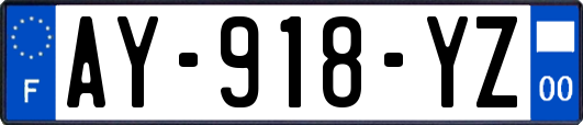 AY-918-YZ