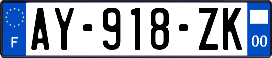 AY-918-ZK