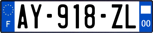 AY-918-ZL