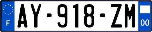 AY-918-ZM