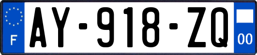 AY-918-ZQ
