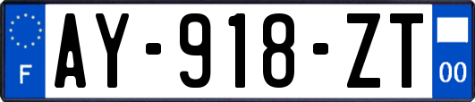 AY-918-ZT