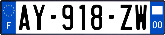 AY-918-ZW