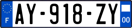 AY-918-ZY