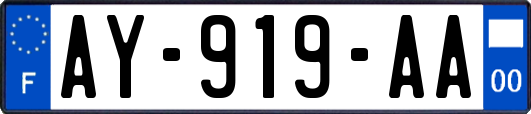AY-919-AA