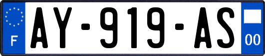 AY-919-AS