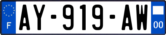 AY-919-AW