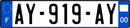 AY-919-AY