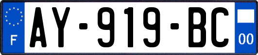 AY-919-BC