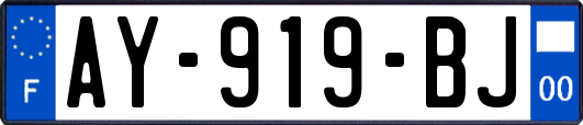 AY-919-BJ