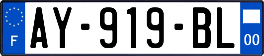 AY-919-BL