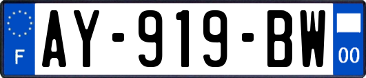 AY-919-BW