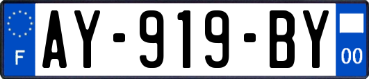 AY-919-BY