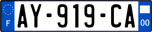 AY-919-CA