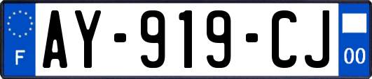 AY-919-CJ