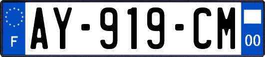 AY-919-CM