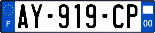 AY-919-CP
