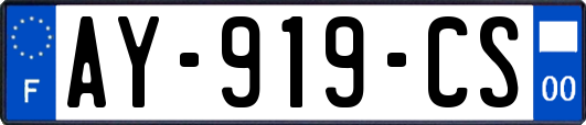 AY-919-CS