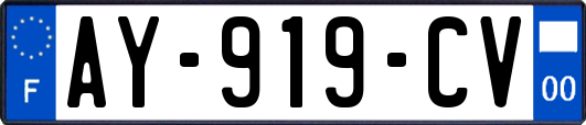 AY-919-CV