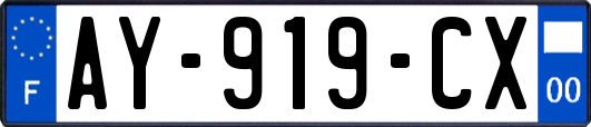AY-919-CX