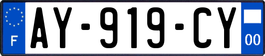 AY-919-CY