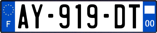 AY-919-DT