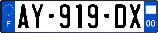 AY-919-DX
