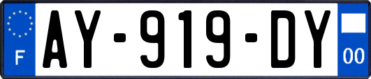 AY-919-DY