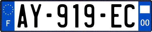 AY-919-EC