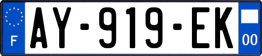 AY-919-EK