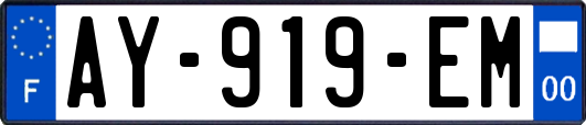 AY-919-EM