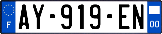 AY-919-EN