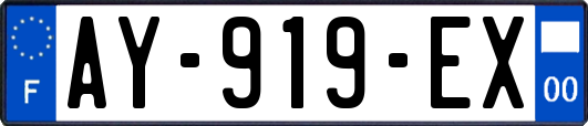 AY-919-EX
