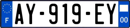 AY-919-EY