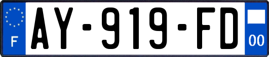 AY-919-FD