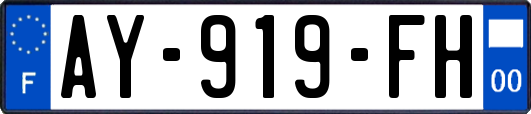 AY-919-FH