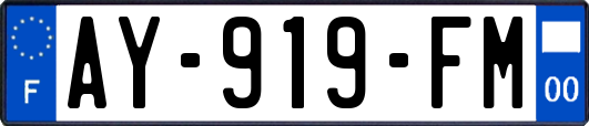 AY-919-FM