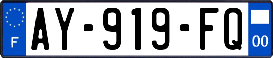 AY-919-FQ