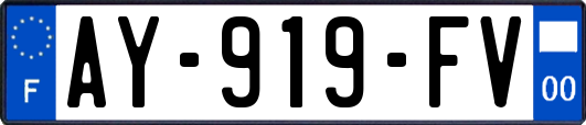 AY-919-FV