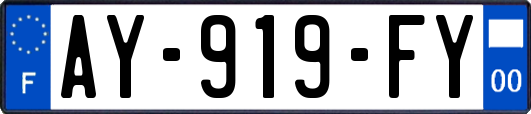 AY-919-FY