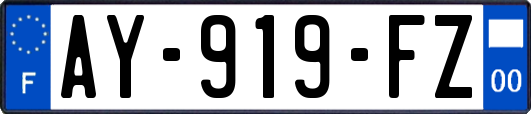 AY-919-FZ