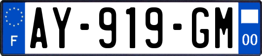 AY-919-GM