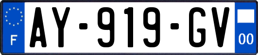 AY-919-GV