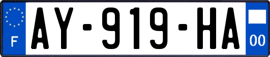 AY-919-HA